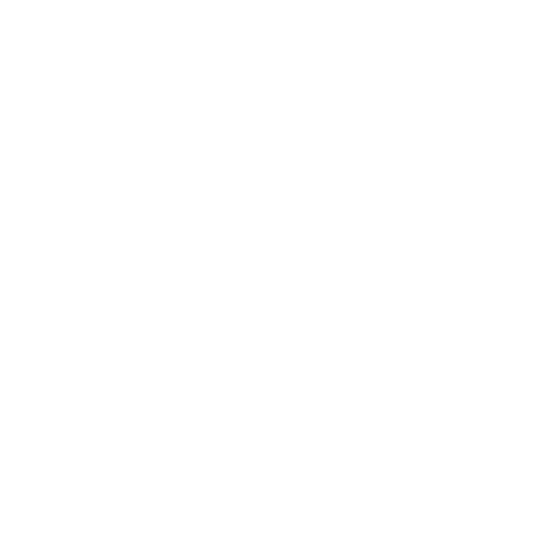 selina joy jackson logo